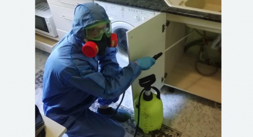 Уничтожение муравьев в квартире. Богородск