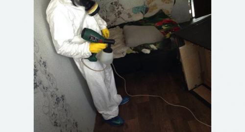 Обработка квартир от насекомых в Богородске