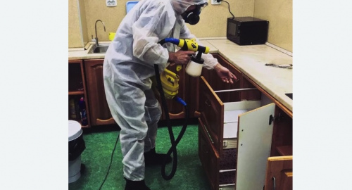 Дезинсекция квартиры. Богородск