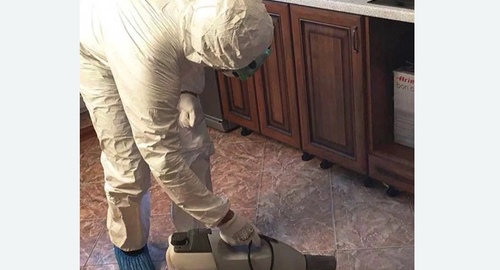 Уничтожение тараканов в квартире. Богородск