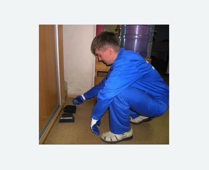 Дератизация крыс в Богородске