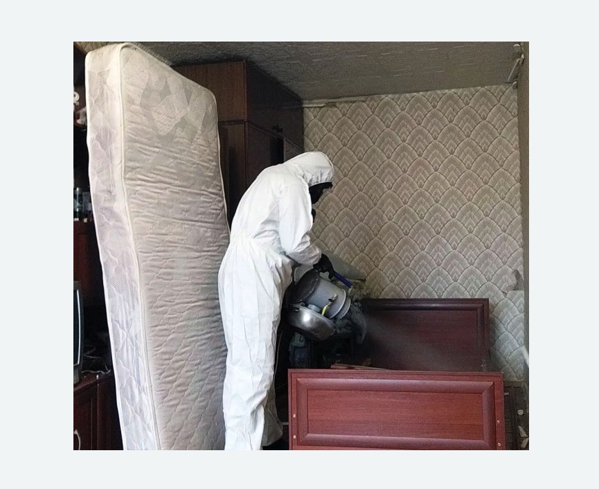 дезинфекция от клопов в Богородске