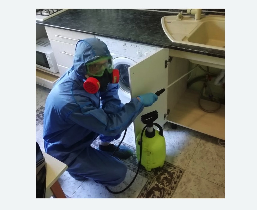 обработка от муравьев в квартире в Богородске