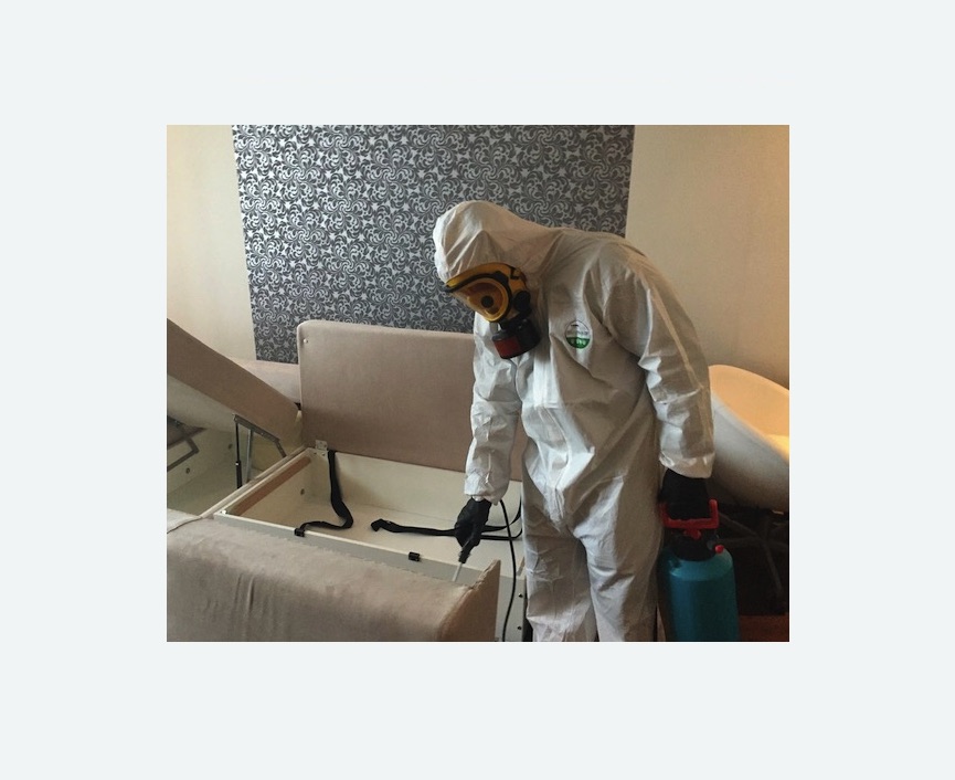 уничтожение клопов в квартире в Богородске