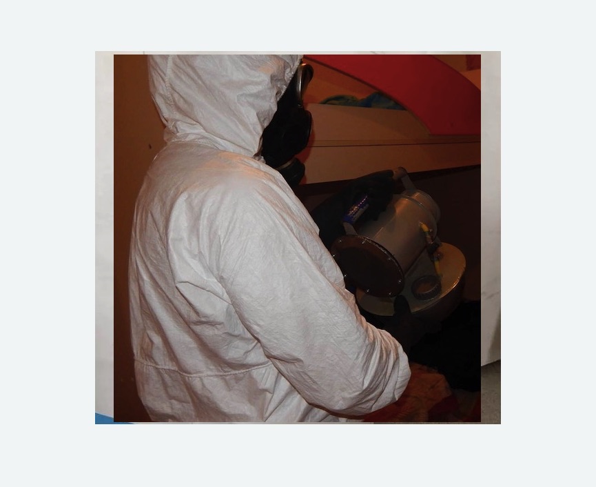 Дезинфекция от муравьев в Богородске