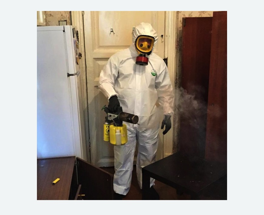 уничтожение муравьев в квартире в Богородске